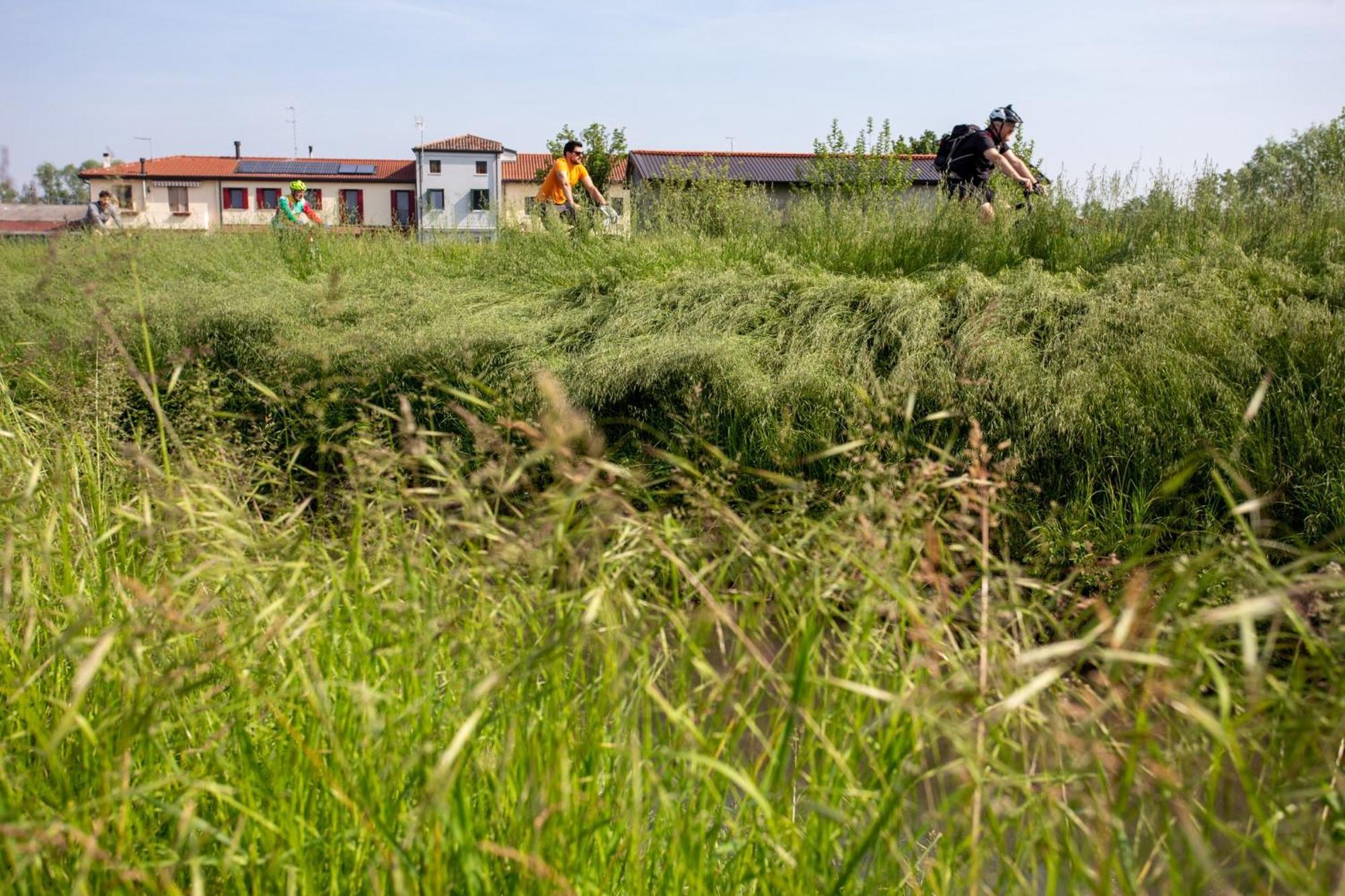 Agriturismo Al Botteniga Treviso Ngoại thất bức ảnh
