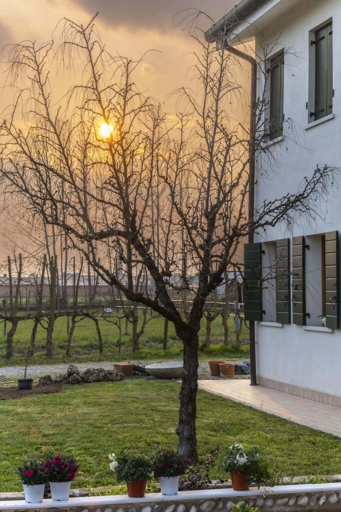 Agriturismo Al Botteniga Treviso Ngoại thất bức ảnh