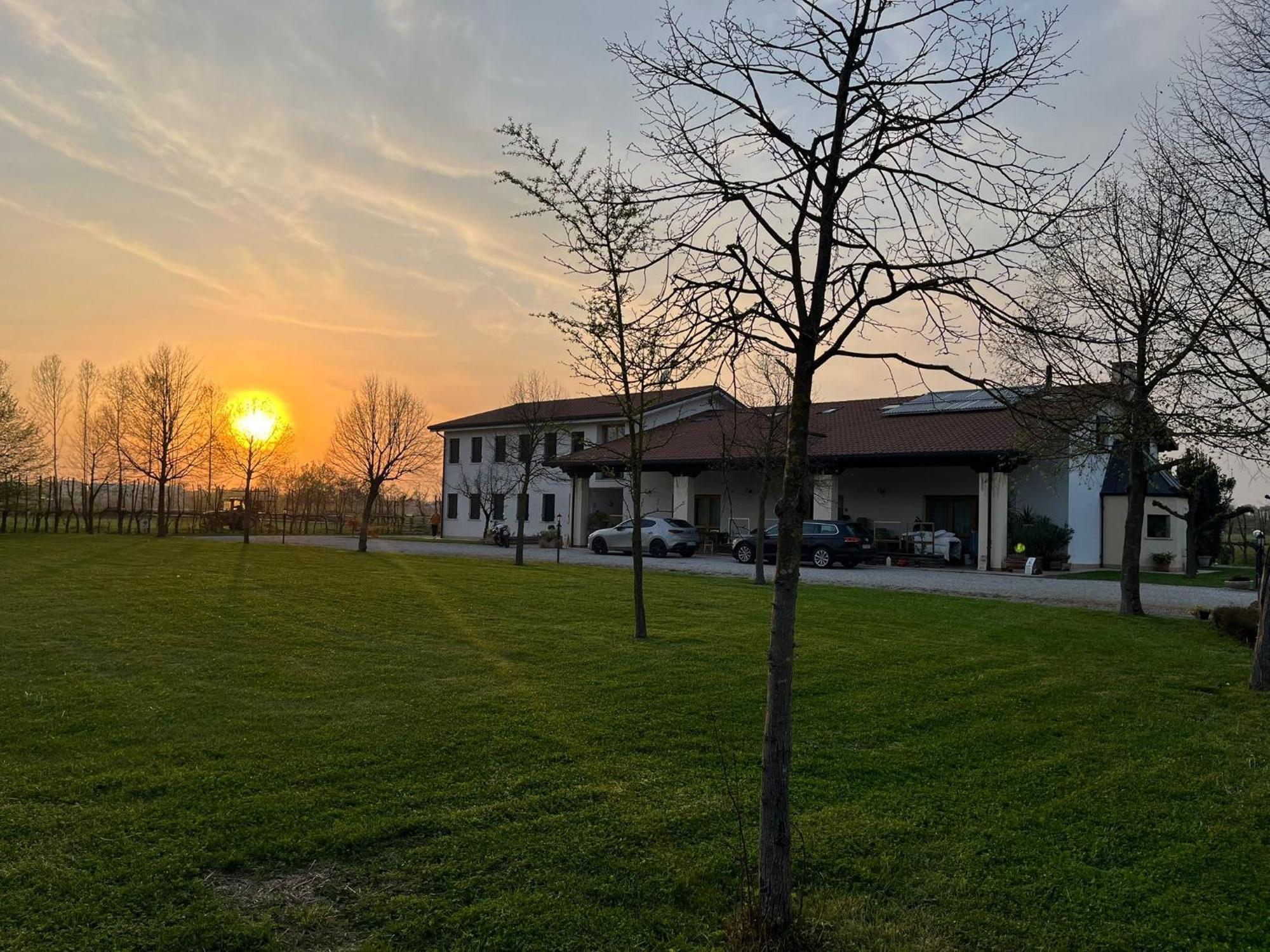 Agriturismo Al Botteniga Treviso Ngoại thất bức ảnh