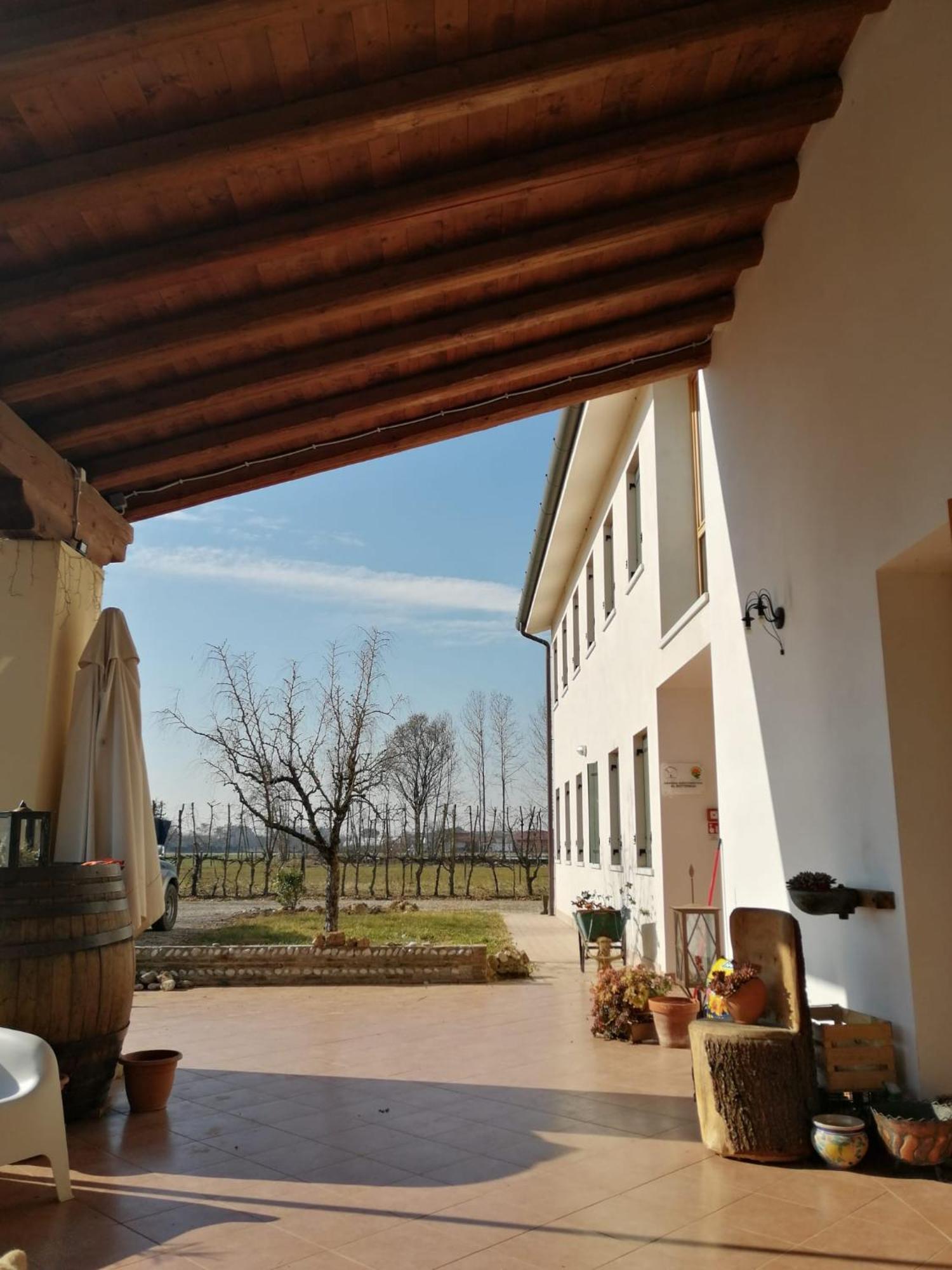 Agriturismo Al Botteniga Treviso Ngoại thất bức ảnh