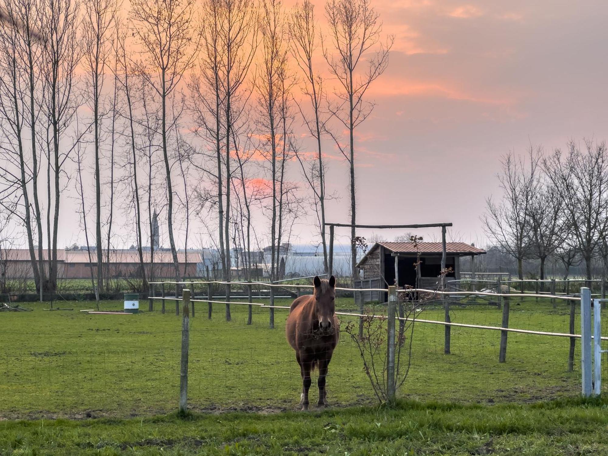 Agriturismo Al Botteniga Treviso Ngoại thất bức ảnh
